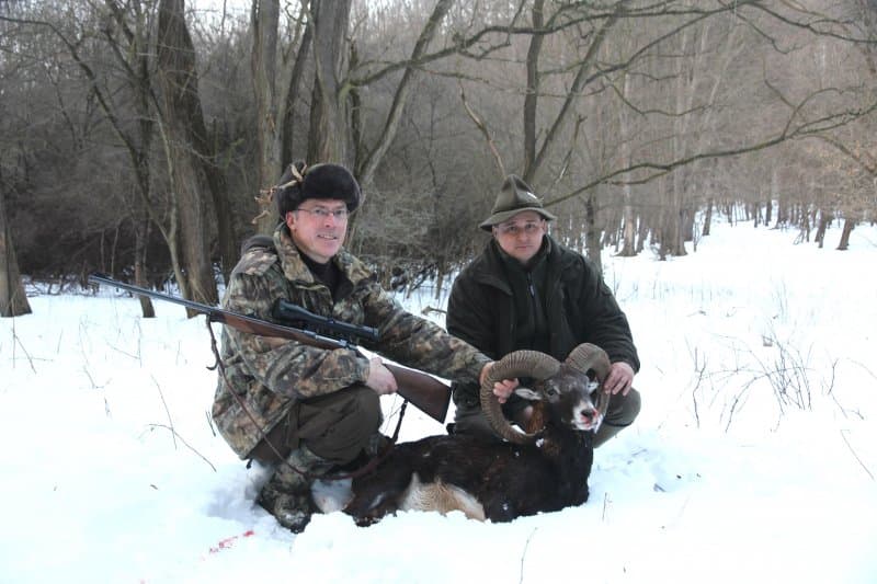 Carpathian trophy